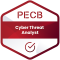 Cyber Threat Analyst