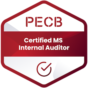 Certified Management System Internal Auditor